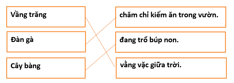 5 Đề thi Giữa học kì 2 Tiếng Việt lớp 1 Kết nối tri thức năm 2024 (có đáp án)