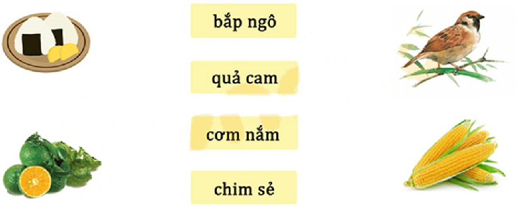 Đề thi Tiếng Việt lớp 1 Giữa học kì 1 năm 2024 có ma trận (16 đề)