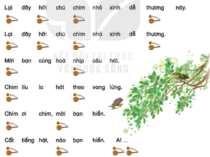 Nhạc cụ Dùng nhạc cụ gõ thể hiện hình tiết tấu