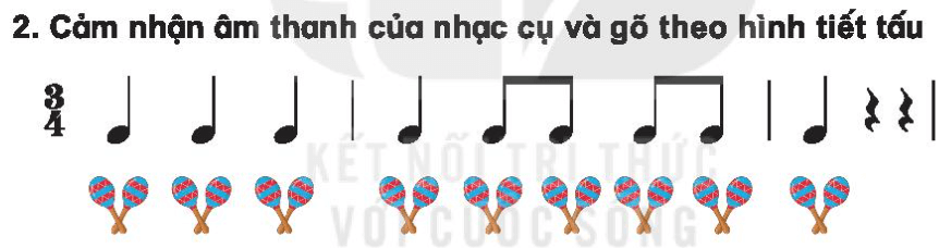 Thường thức âm nhạc: Nhạc cụ Ma-ra-cát (maracas)