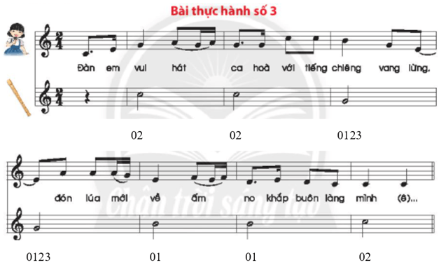 Bài thực hành số 3