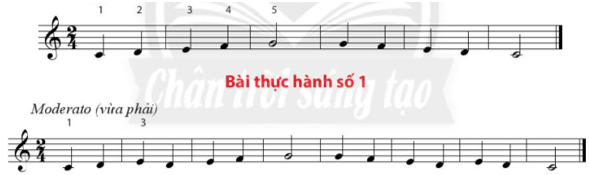 Bài thực hành số 2