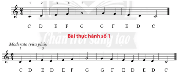 Bài thực hành số 2