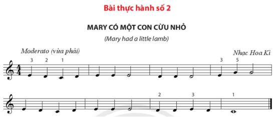 Bài thực hành số 3