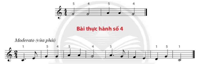 Bài thực hành số 4