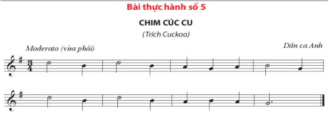 Bài thực hành số 5