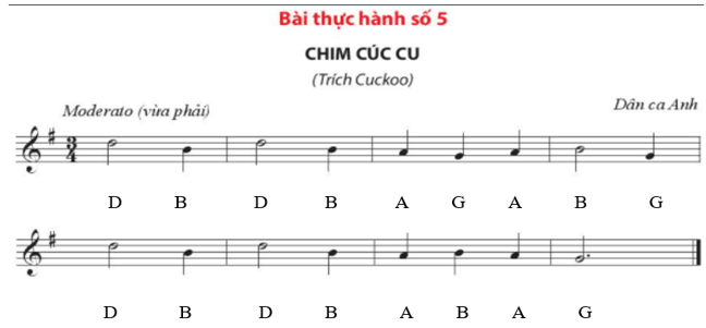 Bài thực hành số 5