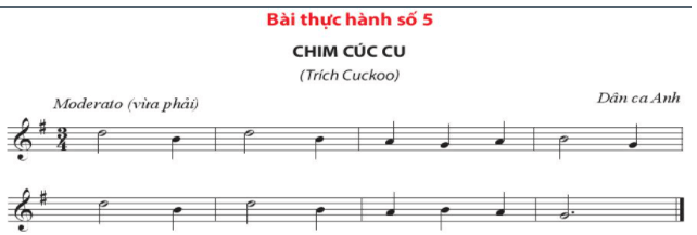 Bài thực hành số 5