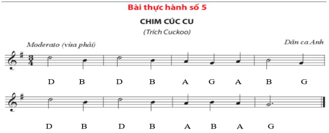 Bài thực hành số 5