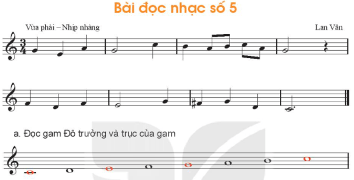 Bài đọc nhạc số 5