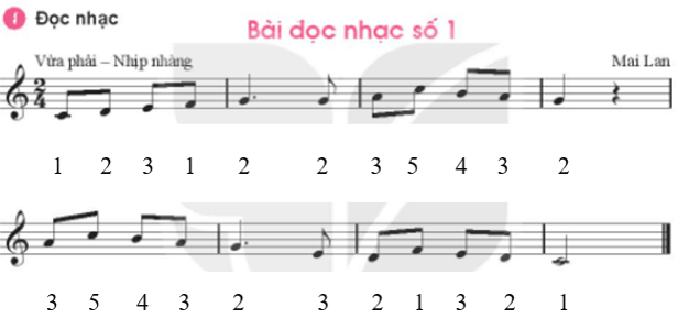 Recorder hoặc kèn phím