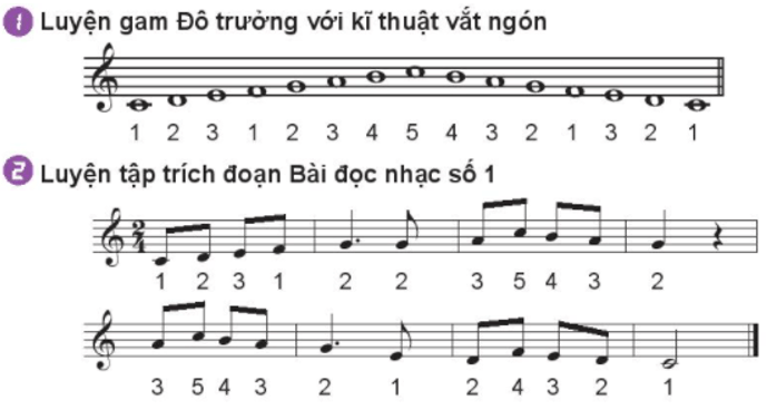 Recorder hoặc kèn phím