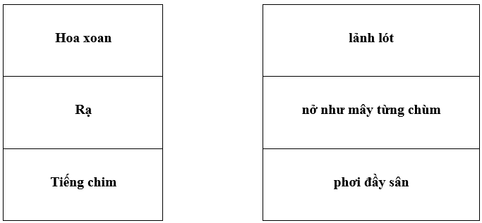 Bài tập cuối tuần Tiếng Việt lớp 1 Tuần 22 Kết nối tri thức (có đáp án) | Đề kiểm tra cuối tuần Tiếng Việt lớp 1