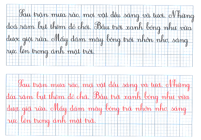 Đề thi Giữa kì Tiếng Việt lớp 1 Cánh diều (có đáp án) | Đề kiểm tra cuối tuần Tiếng Việt lớp 1