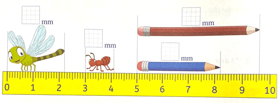 Bài tập cuối tuần Toán lớp 3 Tuần 2 Cánh diều (có đáp án) | Đề kiểm tra cuối tuần Toán lớp 3