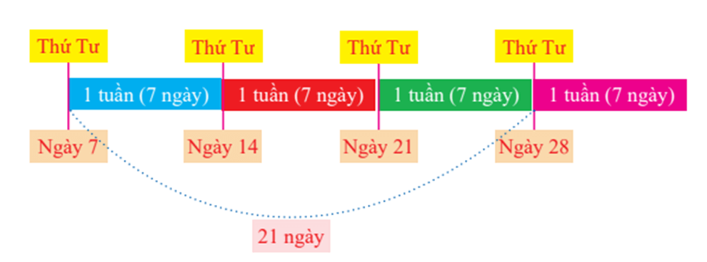 Bài tập cuối tuần Toán lớp 3 Tuần 2 Cánh diều (có đáp án) | Đề kiểm tra cuối tuần Toán lớp 3