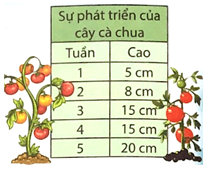 Bài tập cuối tuần Toán lớp 3 Tuần 26 Chân trời sáng tạo (có đáp án) | Đề kiểm tra cuối tuần Toán lớp 3