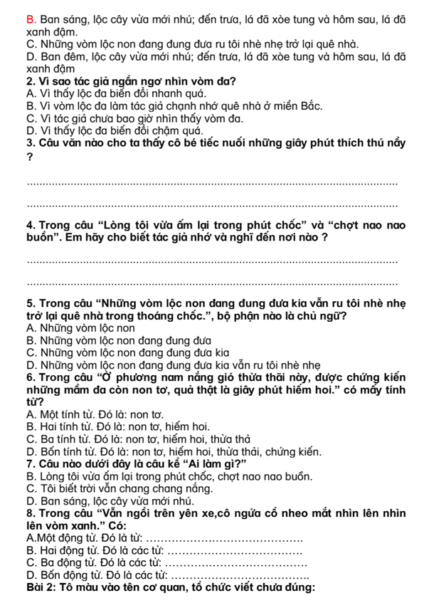 Bài tập cuối tuần Tiếng Việt lớp 4 Tuần 31 Kết nối tri thức (có đáp án) | Đề kiểm tra cuối tuần Tiếng Việt lớp 4