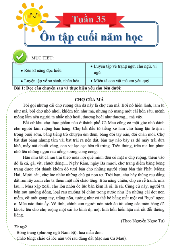 Bài tập cuối tuần Tiếng Việt lớp 4 Tuần 35 Chân trời sáng tạo (có đáp án) | Đề kiểm tra cuối tuần Tiếng Việt lớp 4