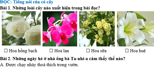 Bài tập hàng ngày Tiếng Việt lớp 4 Bài 10: Tiếng nói của cỏ cây | Kết nối tri thức