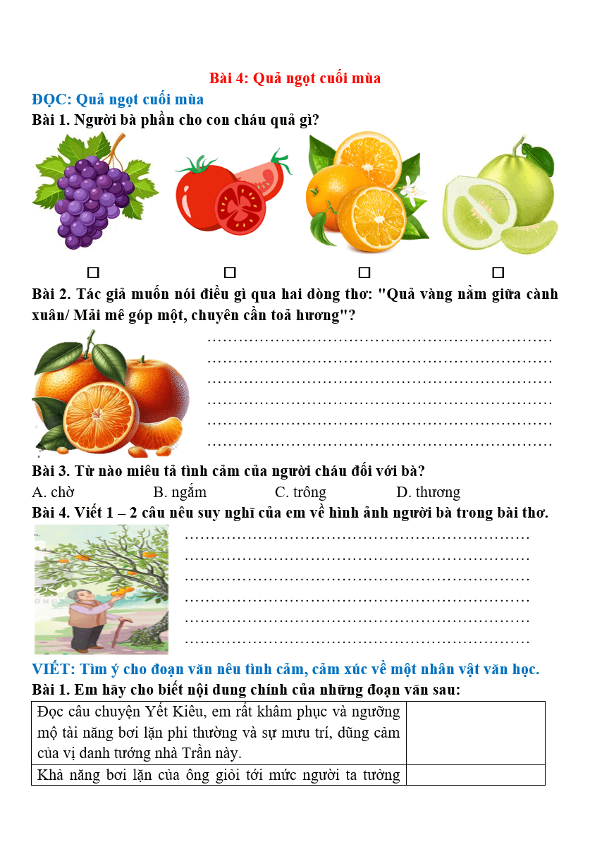 Bài tập hàng ngày Tiếng Việt lớp 4 Bài 4: Quả ngọt cuối mùa | Kết nối tri thức