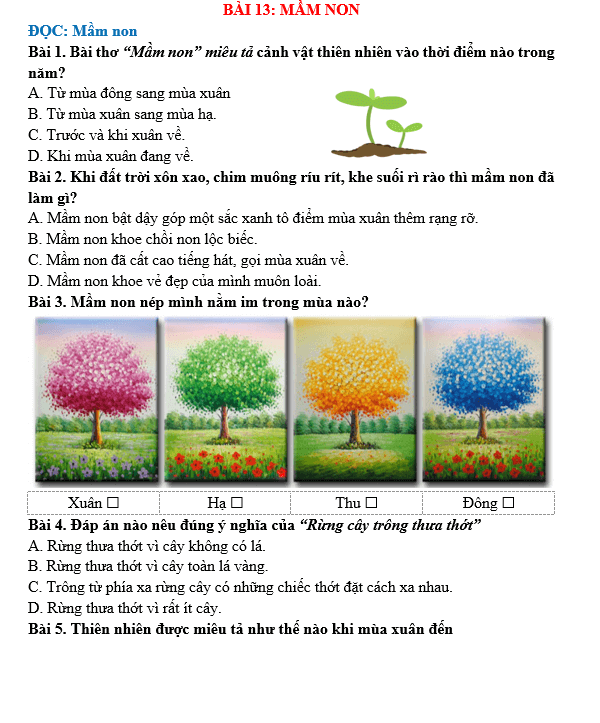 Bài tập hàng ngày Tiếng Việt lớp 5 Bài 13: Mầm non | Kết nối tri thức