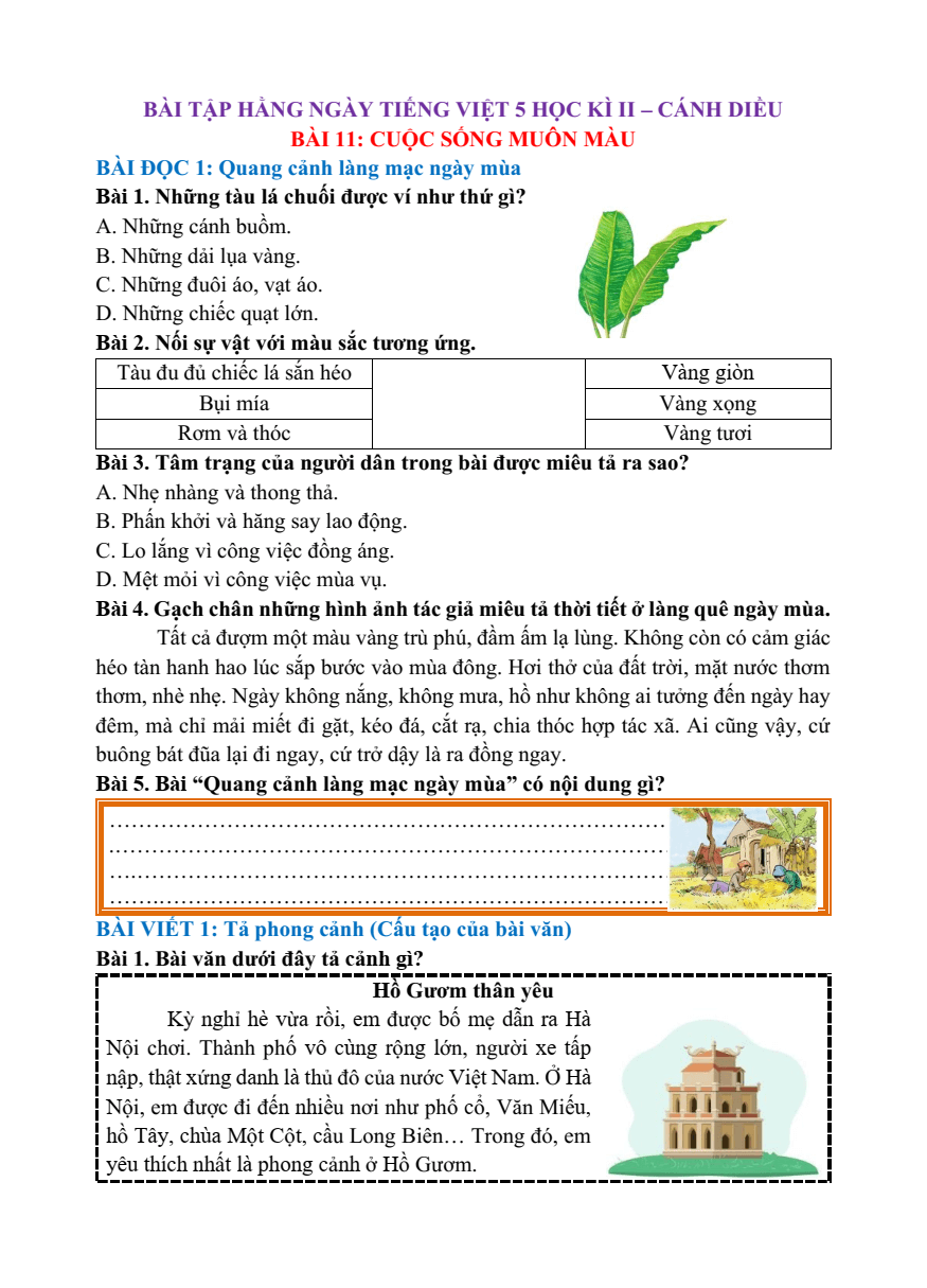 Bài tập hàng ngày Tiếng Việt lớp 5 Cánh diều Học kì 2 (có lời giải)