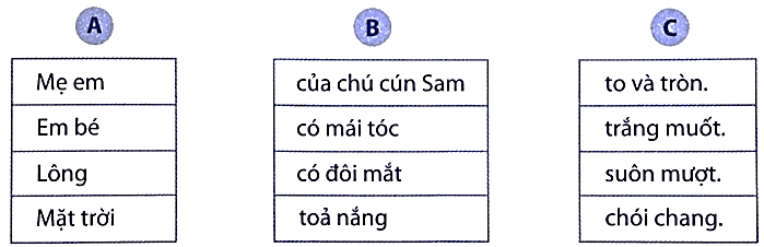 Bài tập phát triển năng lực Tiếng Việt lớp 3 Tuần 18: Ôn tập cuối học kì 1 (trang 69, 70, 71, 72, 73, 74, 75) (ảnh 2)