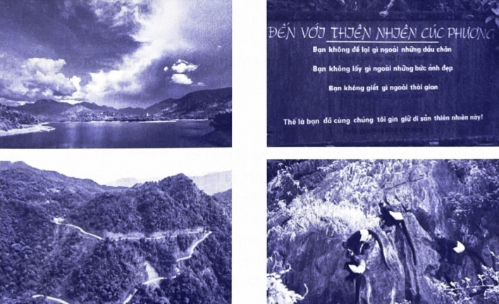 Bài tập phát triển năng lực Tiếng Việt lớp 3 Tuần 21: Khu vườn tuổi thơ (trang 12, 13, 14, 15) (ảnh 3)