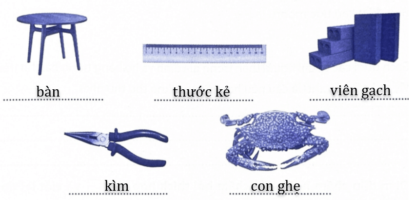 Bài tập phát triển năng lực Tiếng Việt lớp 3 Tuần 9: Ôn tập giữa học kì 1 (trang 34, 35, 36, 37) (ảnh 4)