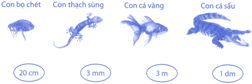 Bài tập phát triển năng lực Toán lớp 3 Tuần 14 (trang 57, 58, 59, 60)