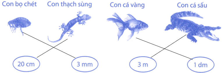 Bài tập phát triển năng lực Toán lớp 3 Tuần 14 (trang 57, 58, 59, 60)