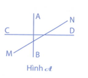 Bài tập phát triển năng lực Toán lớp 4 Tuần 13 (trang 54, 55, 56, 57)