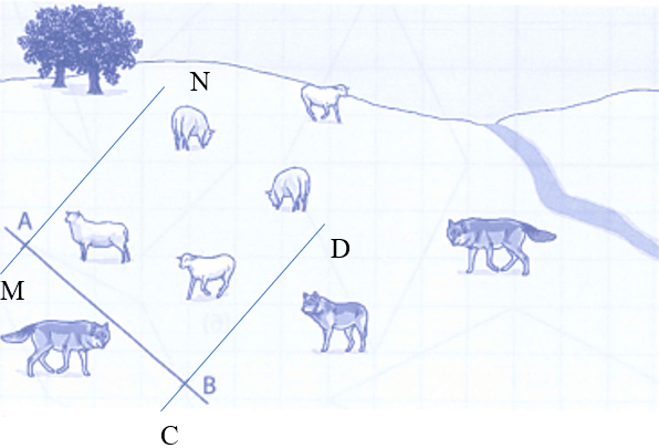 Bài tập phát triển năng lực Toán lớp 4 Tuần 15 (trang 63, 64, 65, 66, 67, 68)