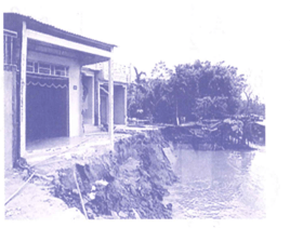 Bài tập phát triển năng lực Toán lớp 4 Tuần 30 (trang 45, 46, 47, 48, 49)