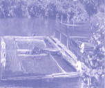 Bài tập phát triển năng lực Toán lớp 4 Tuần 33 (trang 58, 59, 60, 61, 62, 63)