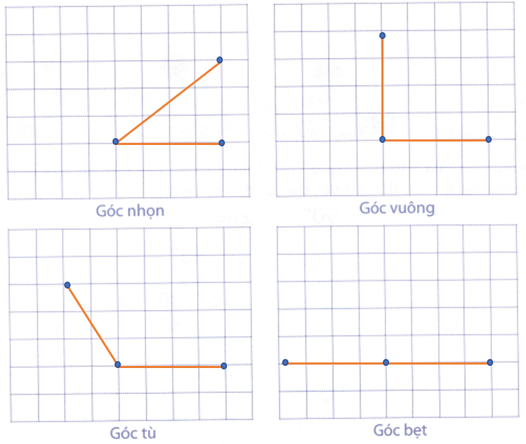 Bài tập phát triển năng lực Toán lớp 4 Tuần 4 (trang 16, 17, 18, 19, 20)