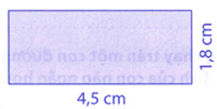 Bài tập phát triển năng lực Toán lớp 5 Tuần 17 (trang 75, 76, 77, 78, 79, 80)
