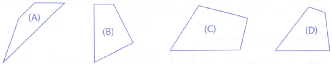 Bài tập phát triển năng lực Toán lớp 5 Tuần 33 (trang 71, 72. 73, 74) 