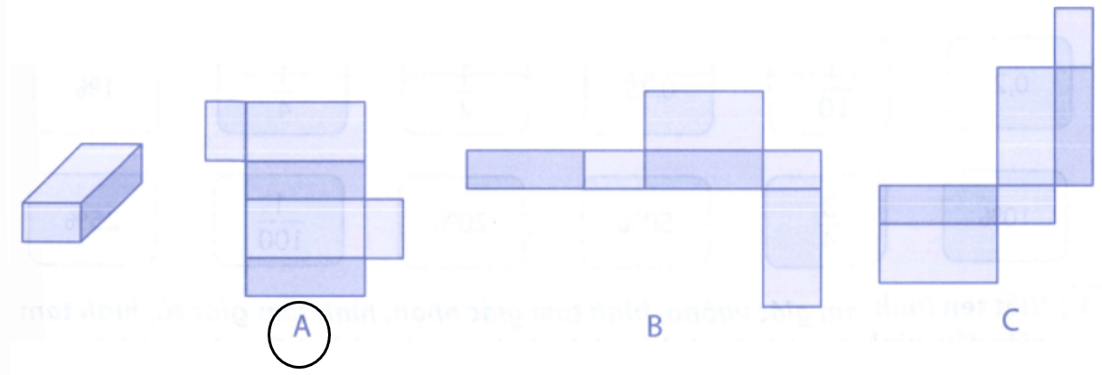 Bài tập phát triển năng lực Toán lớp 5 Tuần 33 (trang 71, 72. 73, 74) 