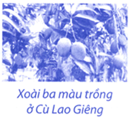 Bài tập phát triển năng lực Toán lớp 5 Tuần 8 (trang 32, 33, 34, 35, 36)