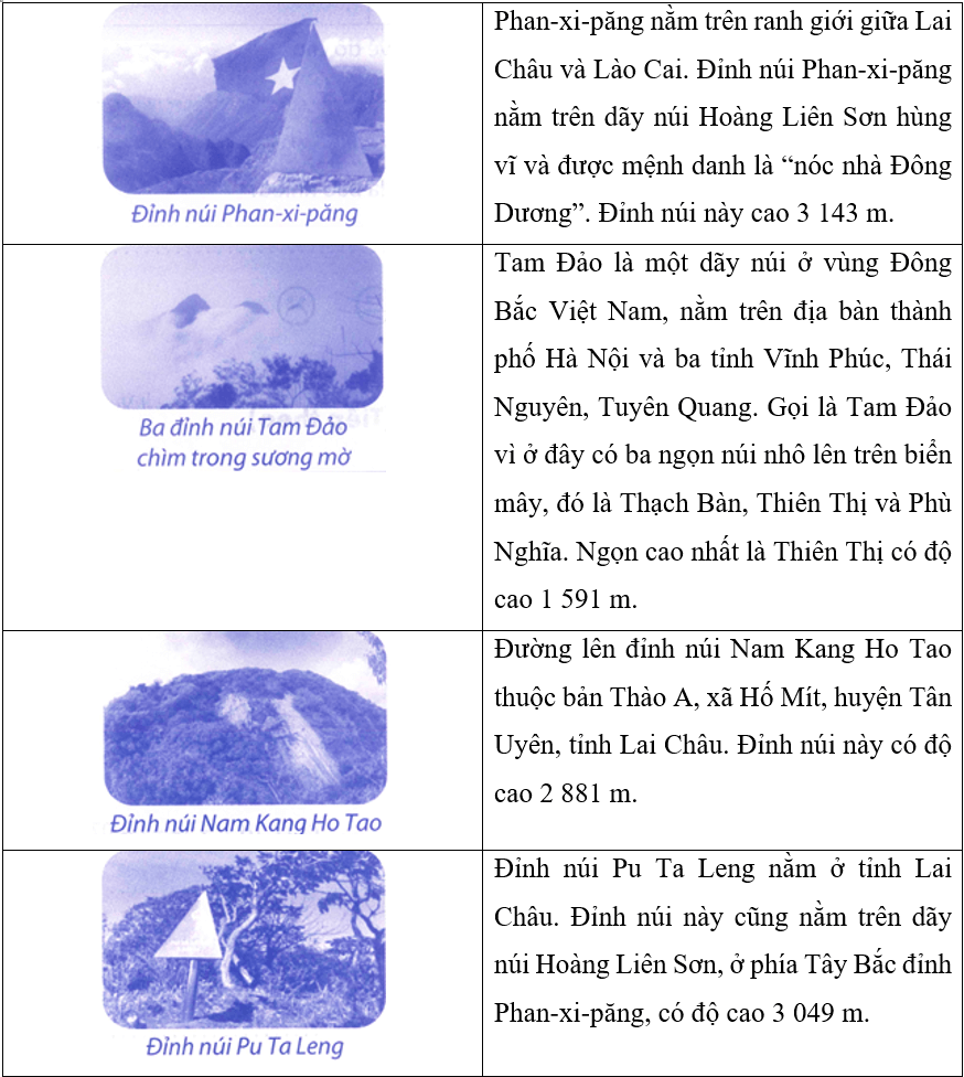 Bài tập phát triển năng lực Toán lớp 5 Tuần 8 (trang 32, 33, 34, 35, 36)
