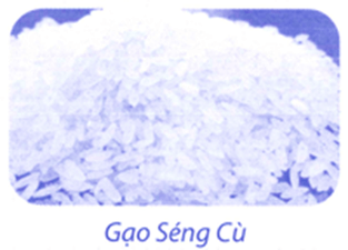Bài tập phát triển năng lực Toán lớp 5 Tuần 9 (trang 36, 37, 38, 39, 40, 41)