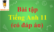 Bài tập Tiếng Anh lớp 11 có đáp án | Từ vựng, ngữ pháp, bài tập Tiếng Anh 11 có đáp án