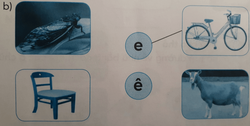 Tiếng Việt lớp 1 Tuần 1 Tiết 2 C c dấu sắc E e Ê ê trang 6, 7 (Dành cho buổi học thứ hai)