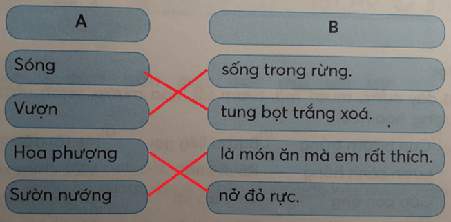 Tiếng Việt lớp 1 Tập 1 Tuần 15 Tiết 2 ươn ương oa oe trang 62, 63 (Dành cho buổi học thứ hai) (ảnh 1)