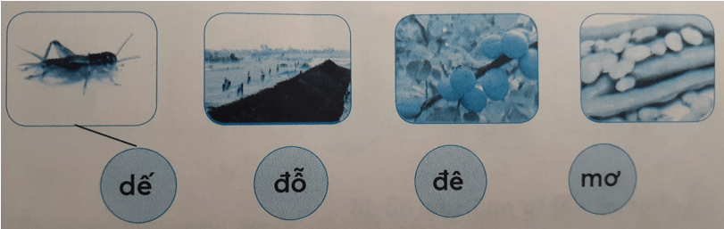 Tiếng Việt lớp 1 Tập 1 Tuần 2 Tiết 2 D d Đ đ Ơ ơ dấu ngã trang 10, 11 (Dành cho buổi học thứ hai) (ảnh 1)