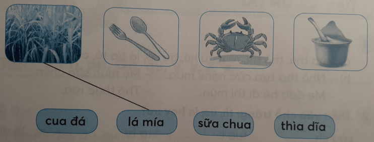 Tiếng Việt lớp 1 Tập 1 Tuần 5 Tiết 2 Th th ia ua ưa trang 22, 23 (Dành cho buổi học thứ hai) (ảnh 1)