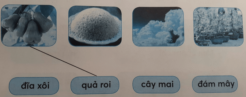 Tiếng Việt lớp 1 Tập 1 Tuần 8 Tiết 2 ai ay ây oi ôi ơi trang 34, 35 (Dành cho buổi học thứ hai) (ảnh 1)