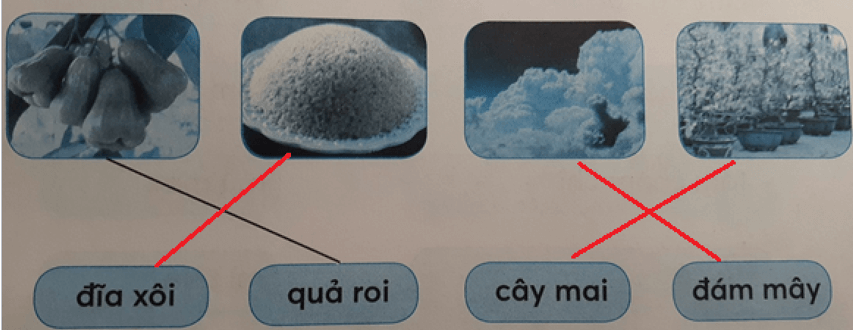 Tiếng Việt lớp 1 Tập 1 Tuần 8 Tiết 2 ai ay ây oi ôi ơi trang 34, 35 (Dành cho buổi học thứ hai) (ảnh 1)